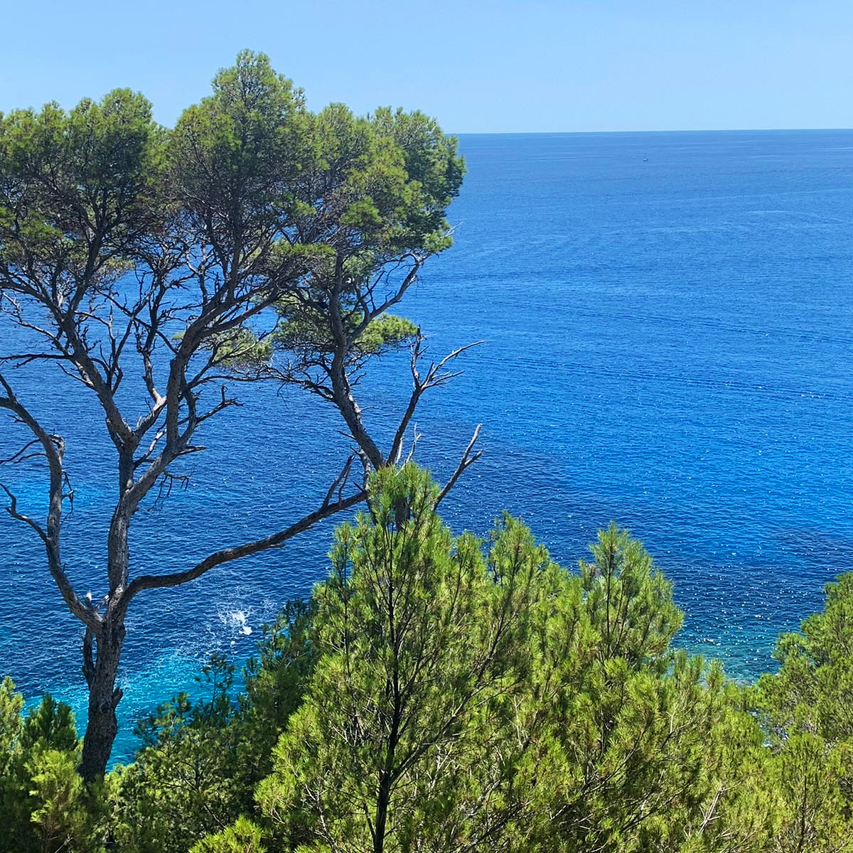 Mallorca, the island of tranquility and light