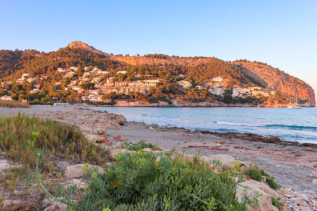 Der felsige Strand von Canyamel mit seiner grünen Vegetation, den sanften Wellen, den Häusern am Hang und dem klaren Himmel bei Sonnenuntergang.