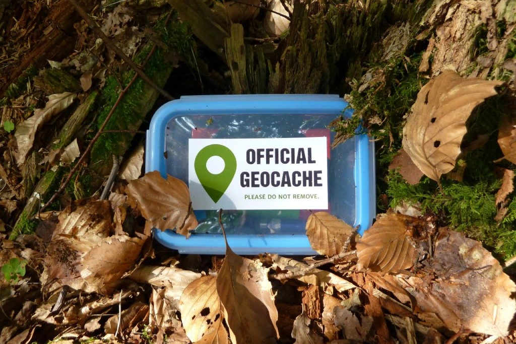 Blauer Geocache-Behälter mit der Aufschrift "Offizieller Geocache", der zwischen Blättern und moosbewachsener Rinde in einem Wald versteckt ist und auf seine Entdeckung wartet.