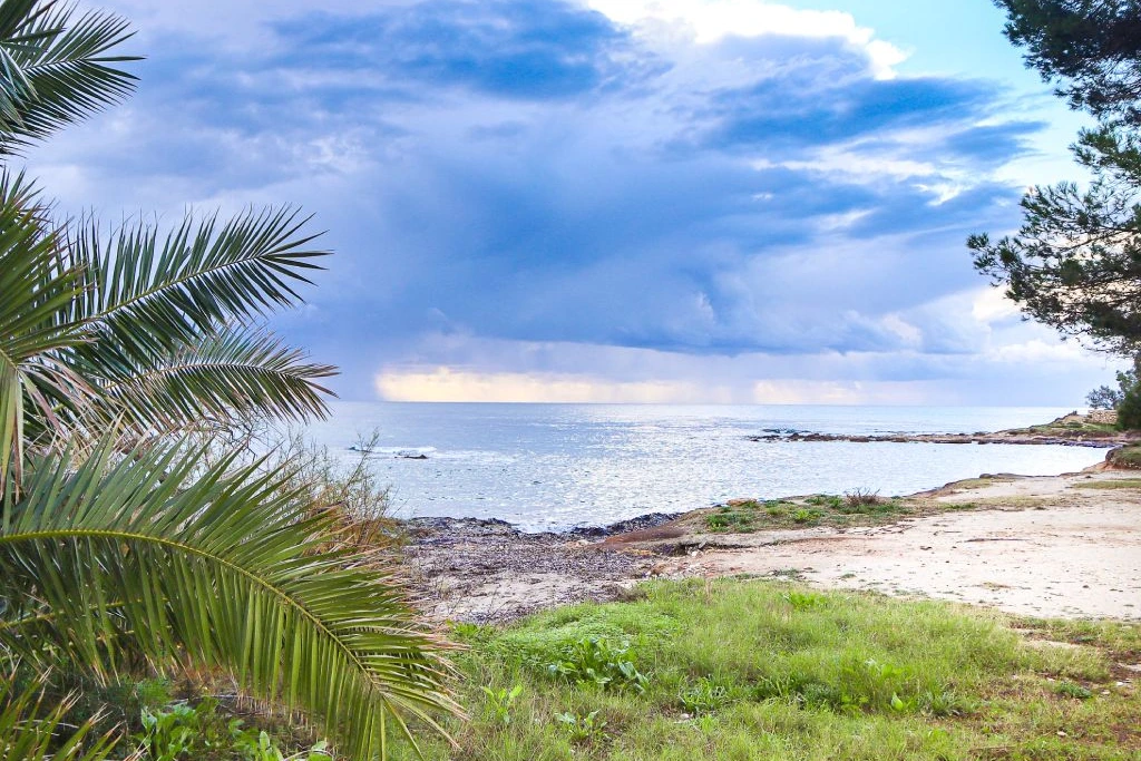 Sandstrand mit grünen Pflanzen und Palmenblättern, ruhiges blaues Meer und dramatische Wolken, die auf einen nahenden Sturm in Port Verd hindeuten.