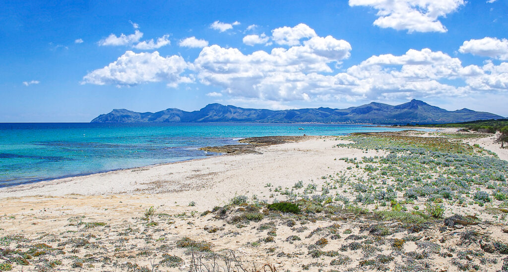 Son Serra de Marina