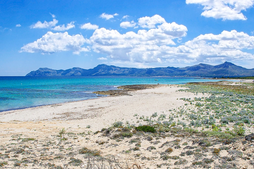 Sonniger Strand in Son Serra de Marina mit weißem Sand, türkisfarbenem Meer, spärlichem Grün und entfernten Bergen unter blauem Himmel.