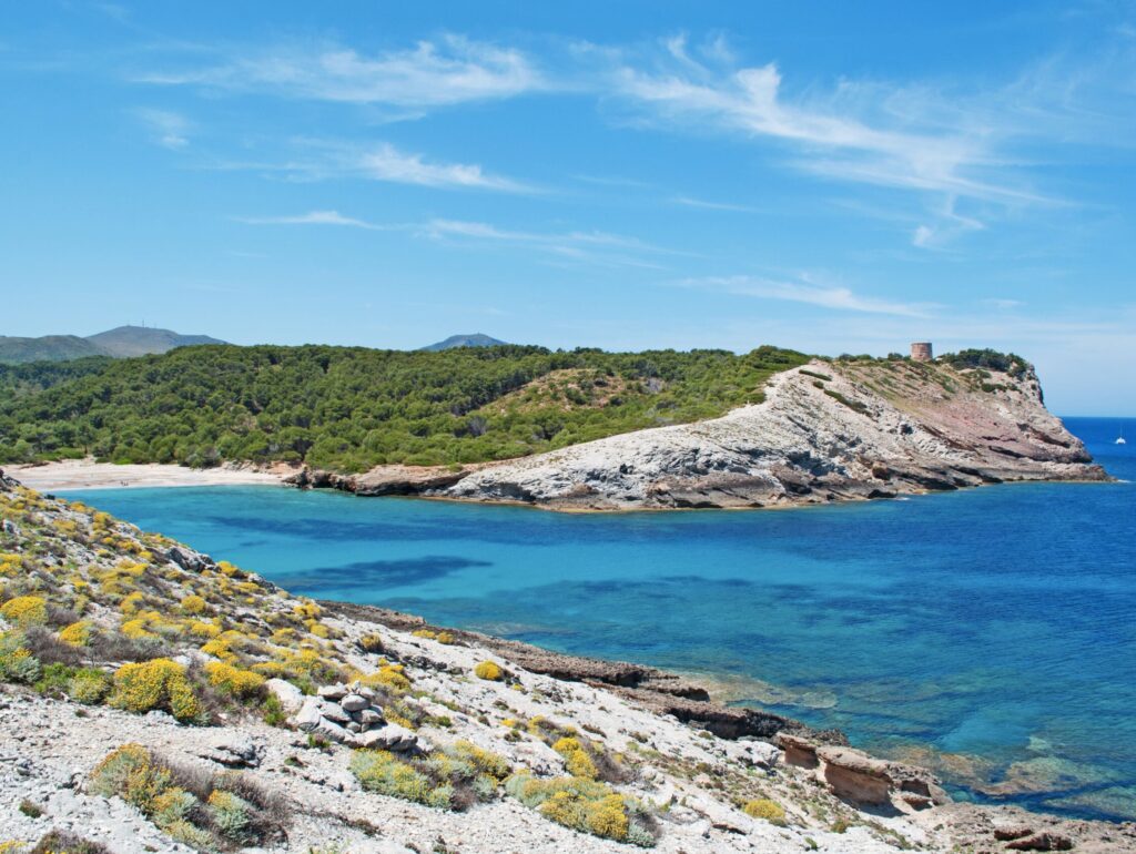 Felsenküste mit gelben Wildblumen, blaues Meer, grüner Hügel und Turm unter klarem Himmel - die perfekte Strandkulisse für Mallorca.