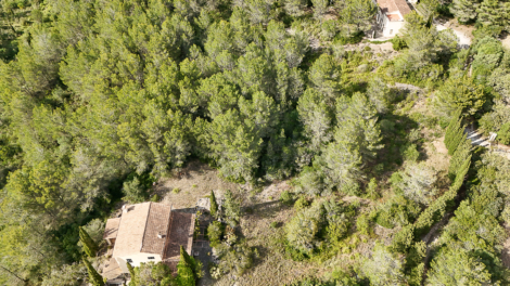 Charming finca with renovation potential: two houses with flexible use in an idyllic location,  07570 Artà (Spain), Finca