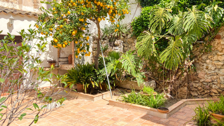 Elegante casa de pueblo con potencial en Artà – con patio y terraza, 07570 Artà (España), Casa de pueblo