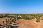If you are looking for something very special! Stately luxury finca with large plot of land - Property