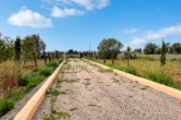 Finca with versatile potential: discover your own piece of Mallorca - Driveway Finca passing...