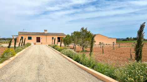 Autarke Finca in zentraler Lage zwischen Felanitx, Manacor und Villafranca, 07500 Manacor (Spanien), Finca