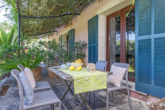 Beautiful commercial Finca property of approx. 30.000m² - with many possibilities of use - Schattiges Plätzchen...