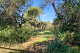 Building plot for your detached house - only approx. 2.5 km to Capdepera - Front part of the property