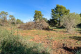 Building plot for your detached house - only approx. 2.5 km to Capdepera - Impressions