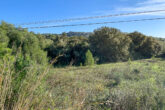 Building plot for your detached house - only approx. 2.5 km to Capdepera - ....many wild olive trees