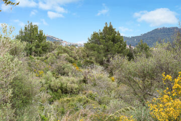 Paradiesisches, großes Grundstück Nähe Capdepera mit herrlichem Panoramablick und Baugenehmigung, 07580 Capdepera (Spanien), Wohngrundstück