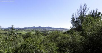 Opportunity: Large land with wonderful panoramic view over Manacor – Son Talent., 07500 Manacor (Spain), Residential plot