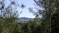 Opportunity: Large land with wonderful panoramic view over Manacor - Son Talent. - Outlook