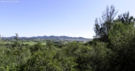 Opportunity: Large land with wonderful panoramic view over Manacor - Son Talent. - Panoramic vision
