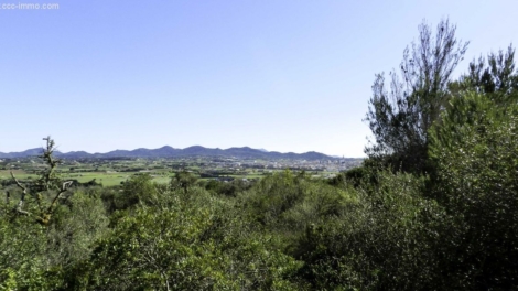 GELEGENHEIT! Großes Grundstück mit traumhaftem Panoramaweitblick über Manacor – Son Talent, 07500 Manacor (Spanien), Wohngrundstück