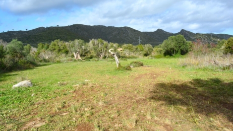 Finca plot for your detached house with pool and electricity and water connection is possible, 07580 Capdepera (Spain), Residential plot