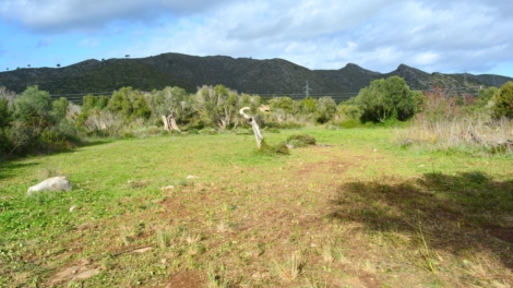 Finca-Grundstück für Ihr Einfamilienhaus mit Pool und Strom- und Wasseranschluss ist möglich, 07580 Capdepera (Spanien), Wohngrundstück