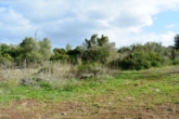 Finca plot for your detached house with pool and electricity and water connection is possible - ...more space...