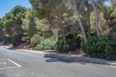 Property of 6400 m² with special possibilities of use in central location - Plot situated on a paved road