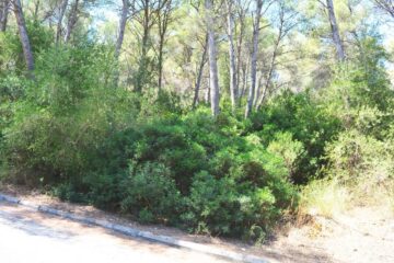 Inversion property! Plot in quiet area – configured construction planning available, 07589 Canyamel (Spain), Residential plot