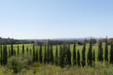 ERSTBEZUG! Großzügige Finca mit 5 SZ, Pool und Bodega in herrlicher Landschaft - Fantastischer Panoramablick...
