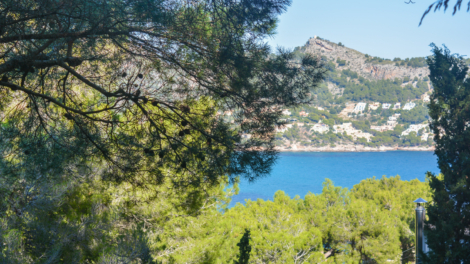 Wundervolles, bewaldetes Hanggrundstück mit Landschafts- und Teilmeerblick – Investitionsobjekt!, 07580 Canyamel (Spanien), Wohngrundstück