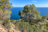 Attractive investment opportunity: Excellent property with panoramic sea views - Panoramic sea view