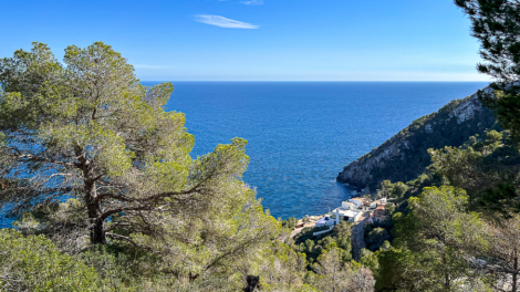 Attractive investment opportunity: Excellent property with panoramic sea views, 07589 Canyamel (Spain), Residential plot