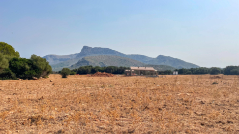 Natural Idyll with Approved Shell Construction on a Large Country Plot, 07570 Artà (Spain), Finca