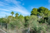 INVESTMENT: Plot of approx. 1400 m² in idyllic surroundings and only approx. 400 m to the Mediterranean Sea - View into the nature