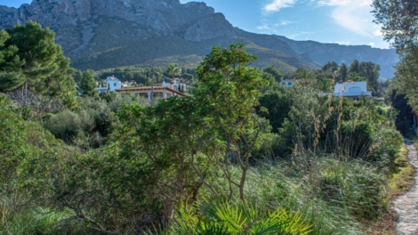 INVESTMENT: Plot of approx. 1400 m² in idyllic surroundings and only approx. 400 m to the Mediterranean Sea, 07579 Betlem (Spain), Residential plot
