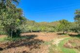 Large, partly already laid out and optimally located plot for your dream of owning your own home - One of the great views of the property...