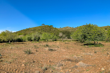 Large, partly already laid out and optimally located plot for your dream of owning your own home, 07590 Capdepera (Spain), Residential plot