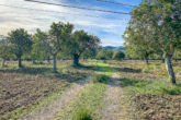 Large, partly already laid out and optimally located plot for your dream of owning your own home - Driveway coming from the entrance...