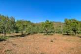 Large, partly already laid out and optimally located plot for your dream of owning your own home - ...another beautiful view of the finca