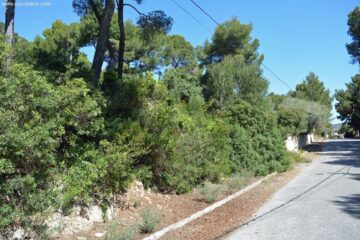 SAVE CAPITAL !? Investor wanted for a plot of land in a sunny location!, 07589 Canyamel (Spain), Residential plot