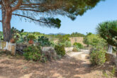 Impressive finca, with authentic large main house and outbuildings - Nature around the house