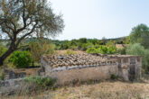 Impressive finca, with authentic large main house and outbuildings - Several...