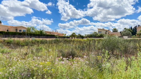 Parcela con proyecto para una casa unifamiliar – a sólo 2 km del mar, 07639 Sa Ràpita (España), Solar residencial