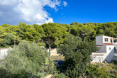 Spacious flat, quiet location with view of the pine forest and only approx. 800m to the beach - Views