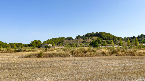 Level plot with approx. 14,000 m² with good access for your detached house, 07240 Sant Joan (Spain), Residential plot