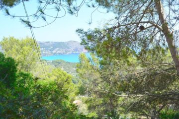 Investment property: Plot on a slope with sea view – configured construction planning available, 07589 Canyamel (Spain), Residential plot