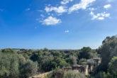 FINCA WITH POTENTIAL: Stately property with approx. 28,000m² and all-round sea views - View...