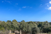 FINCA WITH POTENTIAL: Stately property with approx. 28,000m² and all-round sea views - ...to the Sea...