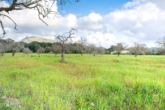 Large rustic plot for your detached house with ideal connection and agricultural land - Large property...