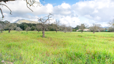 Large rustic plot for your detached house with ideal connection and agricultural land, 07570 Artà (Spain), Residential plot