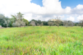 Large rustic plot for your detached house with ideal connection and agricultural land - ...and own well
